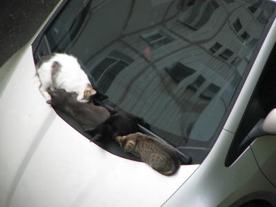 Прикрепленное изображение: 002.JPG